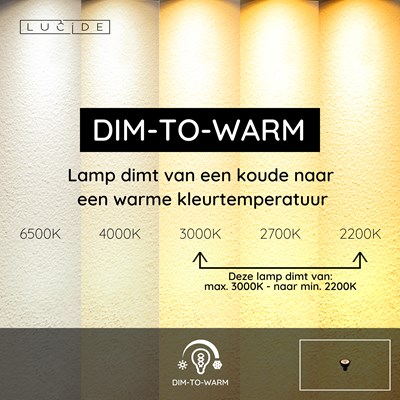 Lucide MR16 - Led lamp - Ø 5 cm - LED Dim to warm - GU10 - 1x5W 2200K/3000K - Zwart